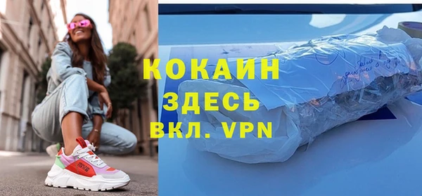 хмурый Мегион