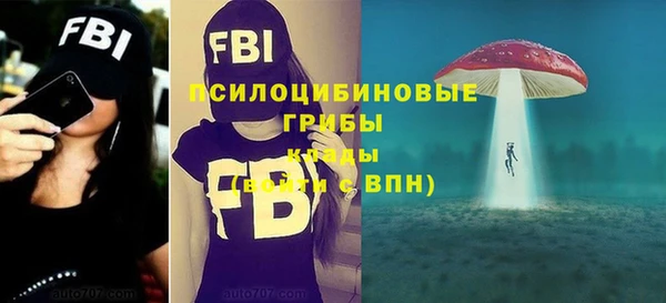 хмурый Мегион