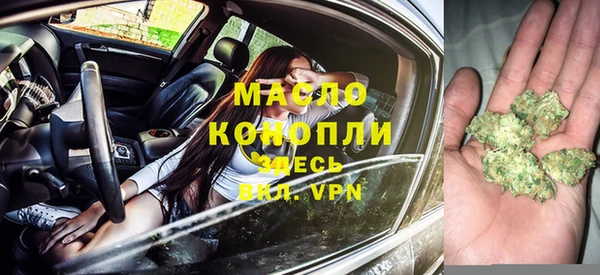 хмурый Мегион