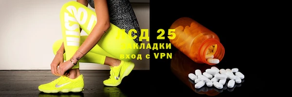 хмурый Мегион