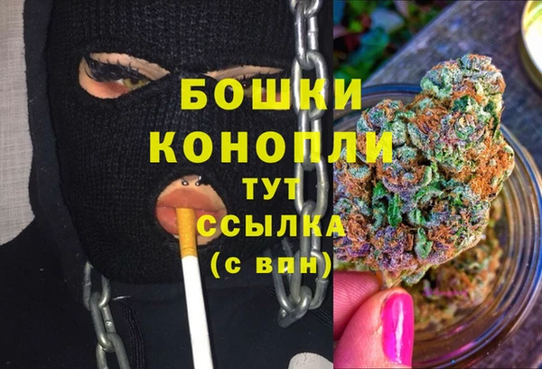 хмурый Мегион