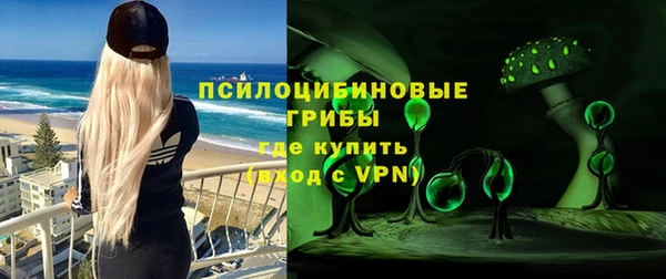 хмурый Мегион