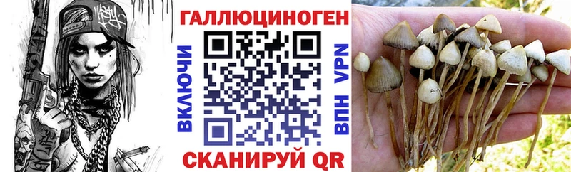 Галлюциногенные грибы Magic Shrooms  Нижнеудинск 