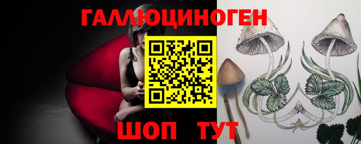 Галлюциногенные грибы прущие грибы Нижнеудинск