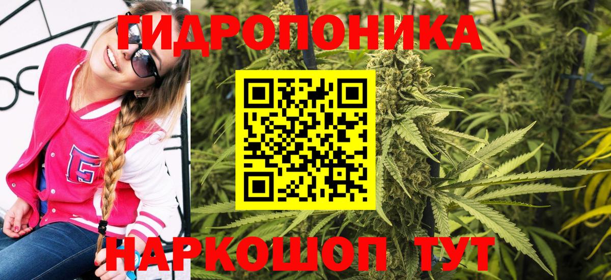 Марихуана семена  МАРИХУАНА OG Kush  Вход с VPN  Нижнеудинск  Каннабис гибрид  Марихуана VHQ 